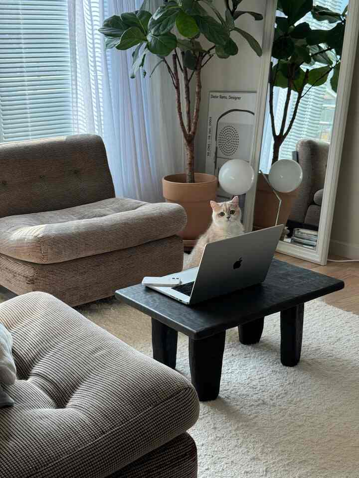 ナチュラルカラーのリビング、ベージュのソファと木製テーブル、猫と植物が配置された温かみのある空間