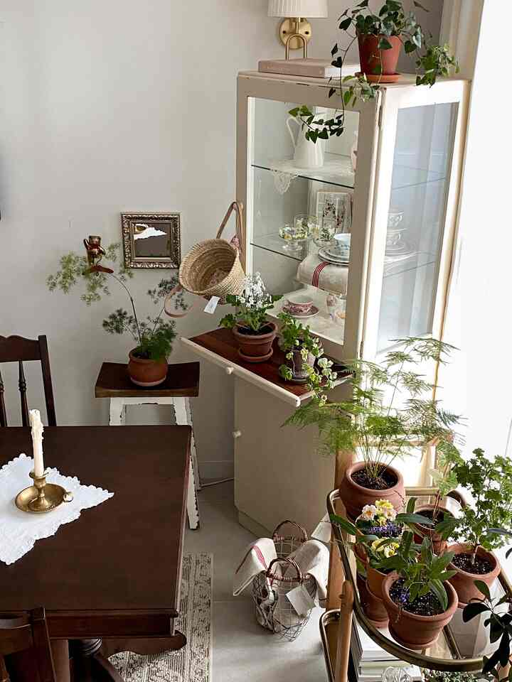 ブラウンとナチュラルな色調のキッチン空間、ヴィンテージのダイニングテーブルとキッチンキャビネット、多様な植物が調和した温かみのある雰囲気のインテリア