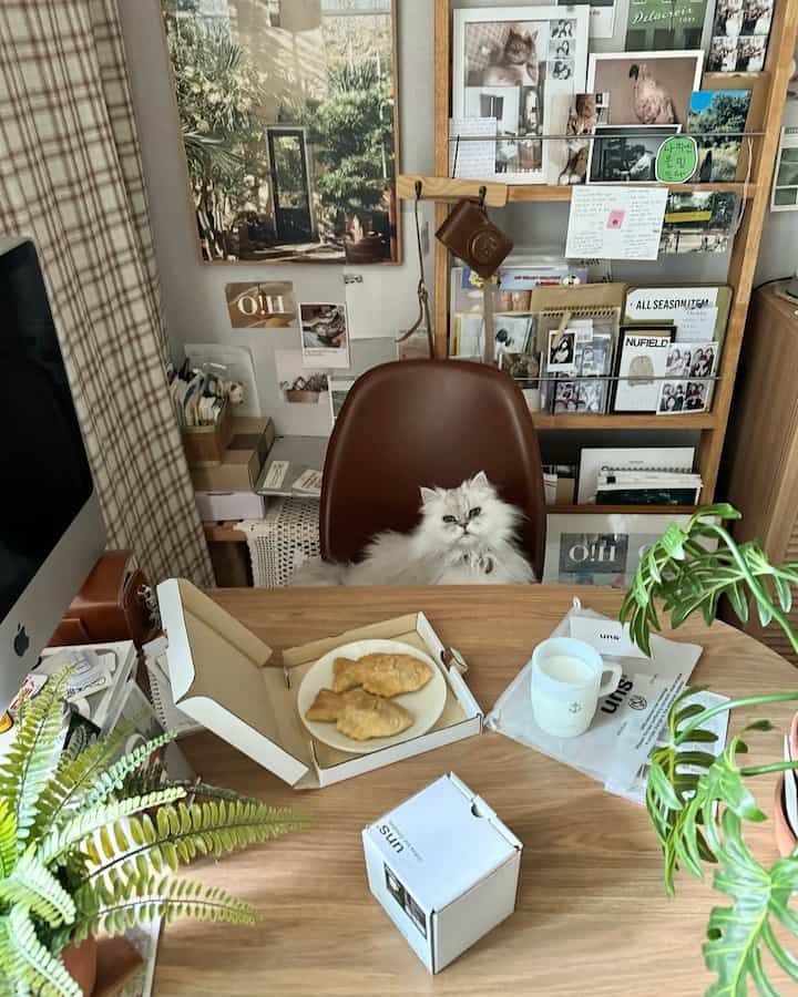 ブラウンとホワイトの色調のホームオフィス、椅子に猫が座り、木製の机と植物が配置された自然な雰囲気のインテリア