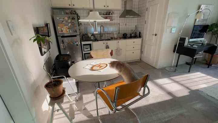 明るいホワイトとシルバーのトーンのキッチン、中央に丸いダイニングテーブルと椅子が配置されており、テーブルの上に猫がいる温かみのある雰囲気のインテリア