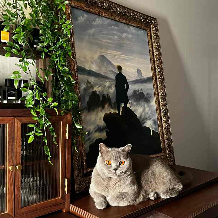 ナチュラルな木目調と緑の植物が調和したリビング、灰色の猫が装飾的な額縁の下でくつろいでいる印象的な空間
