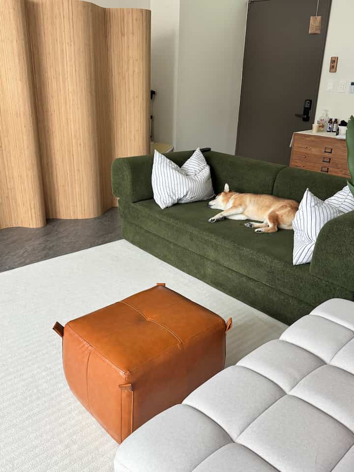 ナチュラルカラーとグリーンのリビング、ソファでくつろぐ犬と木製の間仕切りが配置された落ち着いた印象の空間