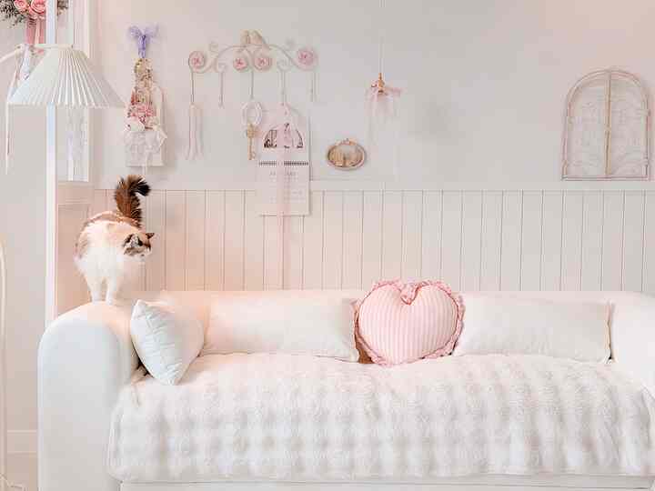 柔らかいホワイトトーンのリビングルーム、白いソファとピンクのクッション、ソファの肘掛けに猫がいる温かみのある空間