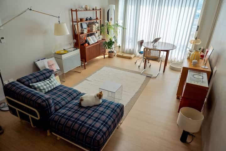 ナチュラルモダンな雰囲気のリビング、チェック柄のソファに猫が座り、ダイニングテーブルと本棚が配置された居心地の良い空間