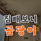 전문 시공 업체
