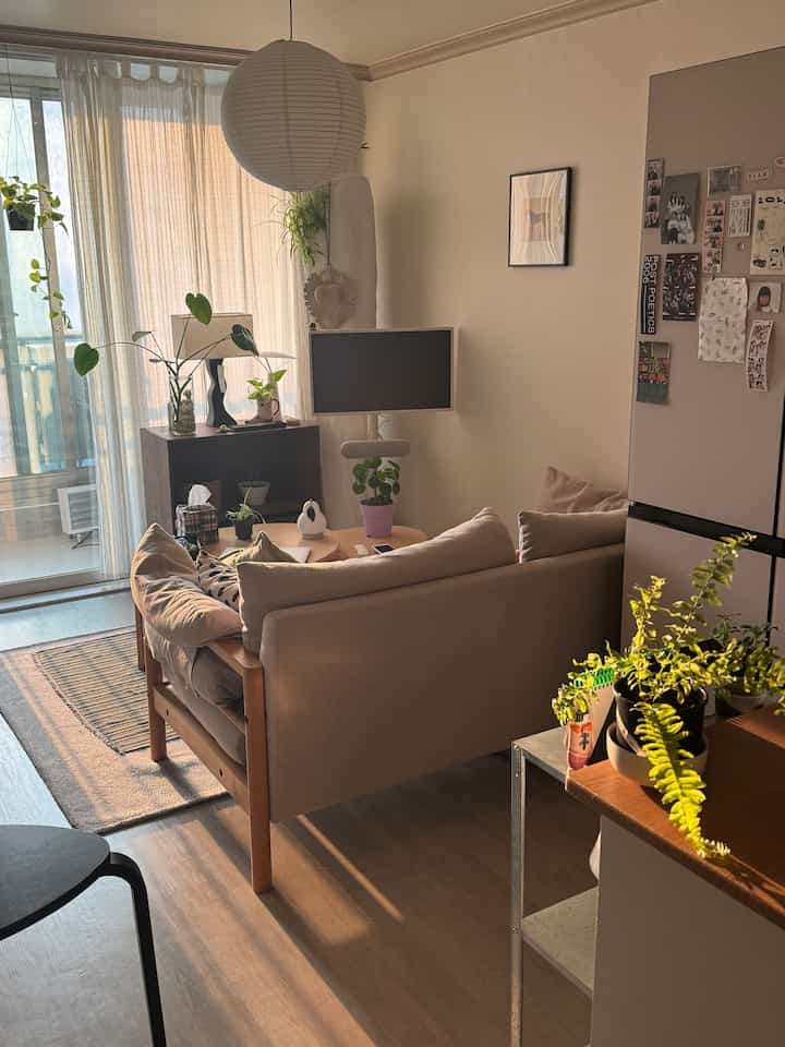 🇰🇷 2LDK|築古を何度も楽しむ🛋️模様替えの鍵はソファの向き