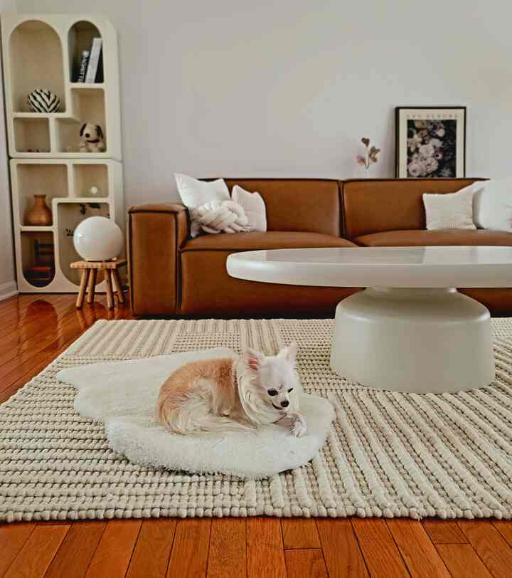 Natural-toned living room with brown leather sofa, white rug, and a dog lying comfortably