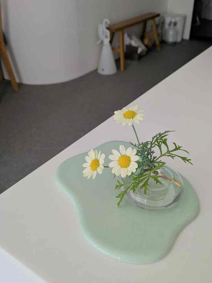 Ohouseから頂いたトレイにマーガレットを飾ってみた🌼
#リビング #リビング植物 #リビング小物 