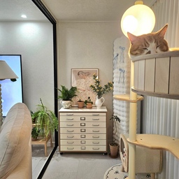 #오늘의우리집 #콘수프기록 #지류수납장 #액자인테리어 #액자 #소피아린드 #캣타워 #화병
노곤노곤하니 행복한 후추와 함께하는 시간 🫶  (지금은 출근했어요,,🤣 그리운 순간이네요)
어제 9시 좀 넘어서부터 식물들 물을 주기 시작했는데 끝나고 보니 10시30분이 훌쩍 지나 있더라고요 ㅎㅎㅎㅎ
확실히 식물들이 많아지니 관리에도 많은 시간들이 필요하네요 🤣
수형 정리도 해주고 잎 샤워도 해줬더니 확실히 오래 걸리는,,🌱
그래도 식물 관리는 마구 힐링되니 행복합니다 😍🤍
#조화 #영이오브제 #가또블랑코 #가르르 #숨숨집 #아우어룸 #스툴 #이케아 #레트로하우스 #수납장 #커튼 #디아망 #회벽화이트 #식물 #식집사 #플랜테리어 #식물인테리어 #라디룸 #천장조명 #조명인테리어 #소통 #맞팔 