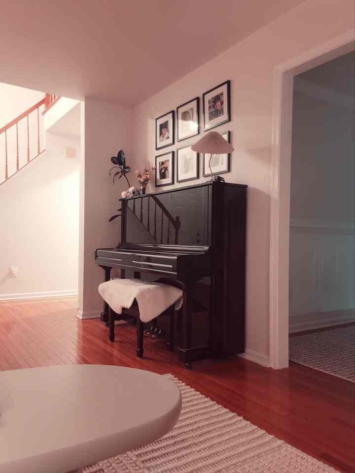 A simple corner with a lot of charm. This black upright piano, a faux tree, and some flowers create a cozy, welcoming vibe, while the frame on the wall adds a personal touch #blackpiano balck upright piano interior #pictureframeset piano decor, #artificialtree artificial rubber tree, Tulip & Rose Flower Bouquet Building Set, #antique camera