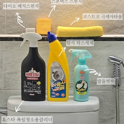 #청소정착템 🧽🛁🫧🧼
욕실청소 루틴 6가지 꿀템 ⬇️
🏷 홈스타 욕실청소용클리너
우리집 변기청소 담당! 칙칙 뿌려서 5분동안 방치해두고
물로 깨끗히 헹궈주면 간단하게 변기청소 끄읕〰️
한번씩 변기솔로 같이 문질러주면서 헹구면 변기 찌든때까지
깔끔하게 청소 가능해요
🏷 탐사 락스세제
줄눈 따라서 세제 쭉 짤아주고 3~5분정도 기다렸다가
물로 헹궈주면 물때낀거 말끔하게 사라져요!
가끔 오래된 물때는 극세사 수건으로 마무리 닦아주면
말끔해용 ㅎㅎㅎ 줄눈시공에 세척솔로 청소하는건
줄눈 벗겨질 수도 있다고 해서 전 세척솔보단 극세사 수건으로만
문질러주는 편이에요!
🏷 발을씻자
발을씻자도 워낙에 유명한 청소템이죠
전 진짜 발 씻을 때도 쓰지만 욕실에 두고 가볍게 청소할 때도
사용하는 중이에요!
거품이 풍성하고 세정력도 좋은데 향은 상큼한 과일향이라
진짜 부담없이 사용하기 좋은 청소템이에요
다이소에도 있다구요 🙆‍♀️
🏷 다이소 매직스펀지
매직스펀지는 자주는 아니지만 항상 쟁겨놓는 청소템 
없으면 아쉬운 욕실 청소템이에요!
샴푸 살짝 묻혀 거품내면 구석구석 물때 없애는데 효과적이에요
수전 사이사이 끼는 물때청소에 주로 사용하는 편!
🏷 커클랜드 다용도 극세사타월 
코스트코 극세사타올이에요! 저는 솔청소 보다는 주로
극세사 타올을 사용하는 편이에요
특히 세면대청소에 항상 사용하는 템 ✨️
물기 살짝만 묻혀서 수전이랑 세면대 슥삭 닦아주면 광내기
좋아요! 따로 약품 안쓰고 빤딱빤딱해질 수 있다구요
🏷 스폰텍스 스펀지
욕실,주방에 하나씩 두고 쓰는 청소 마지막 단계 꿀템
청소 다하고 생긴 물기는 스퀴지도 있지만
전 요즘 스폰텍스로 다 마무리해요!
물기 빨아들이는 효과가 엄청 나요 ㅎㅎㅎㅎ 물기 자국없이
말끔하게 닦아내어주니 청소 마지막 가장 개운해지는 꿀템이에용
#청소템 #청소템추천 #살림템 #살림템추천 
#살림템공유 #욕실청소 #욕실청소템 #욕실청소용품 
#줄눈청소 #세면대청소 #수전청소 #변기청소
#살림살이 #살림기록 #주부꿀팁 #주부필수템 #주부추천템 
#깔끔한욕실 #물기제거 #스폰텍스 #다이소청소템 