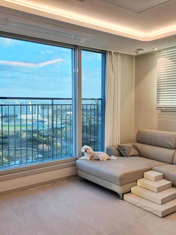 ペットステップ［2色・3サイズ］を使ったコーディネート 3