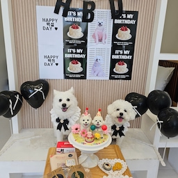 #내돈내산 #콘수프기록 
우리집 흰둥이들 생일이에요🤍
신기하게도 딱 일주일차이라
항상 같이 생일파티 하는데
이번에도 동반파뤼~~~!!🎶🎵
블랙컨셉으로 맞춰서 파티하고
맛있는 케이크랑 간식들 냠냠하면서
행복한 생일파티 했네여🎂🎂
백설백희 생일축하해🎂 항상 건강하자🤍
#맞팔환영 #맞팔선팔 #소통해요 #소통환영 
#생일파티 #강아지생일 #HBD #생일파티용품
#수제간식 #강아지생파  #강아지케이크 #특별한날
#기념일 #일상