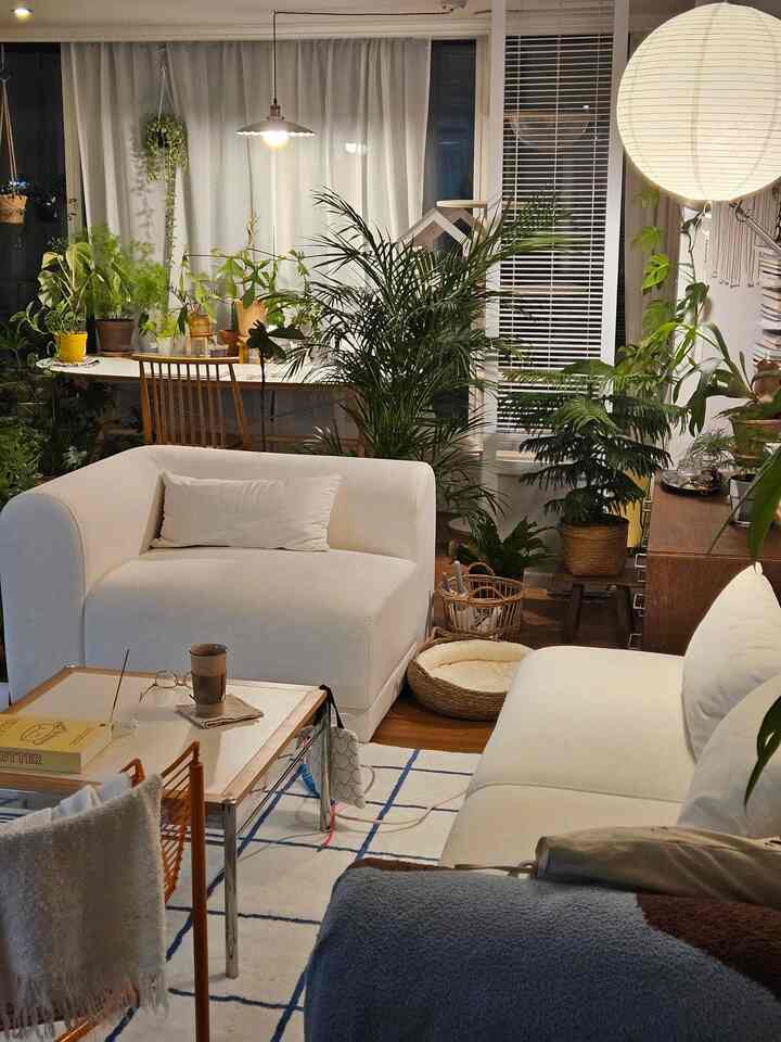明るいホワイトと木目調が調和したリビング、アイボリー色のソファと多くの植物が配置されたナチュラルな雰囲気の空間