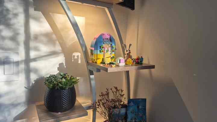 Natural-toned compact space bathed in warm sunlight featuring a wooden plant stand, potted plants, and toys displayed.