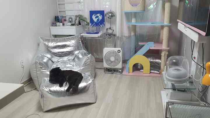 パステルカラーのキャットタワーとシルバービーンバッグがある小さなリビング、黒い猫がビーンバッグの上に寝ている