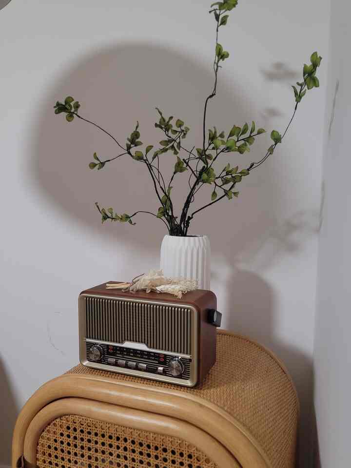 This Vintage Wood Finish AM/FM Radio and Bluetooth Speaker has that classic look we love, with the bonus of modern features.

We also found these lovely faux greenery stems in a white ceramic vase—just enough to bring a little life and calm into the room without needing much upkeep.

Also couldn’t resist this Hamburger & Hot Dog Salt and Pepper Shaker Set —a fun little detail that makes us smile. And everything just seems to look better on our classic Lenox plate, whether it’s breakfast or a treat.

#SimpleHome #CozyVibes #HearthAndHand #EverydayDecor #GreeneryTouch #HomeDetails #vintageinterior #vintage #blutoothspeaker #fauxstems #driedflower 
