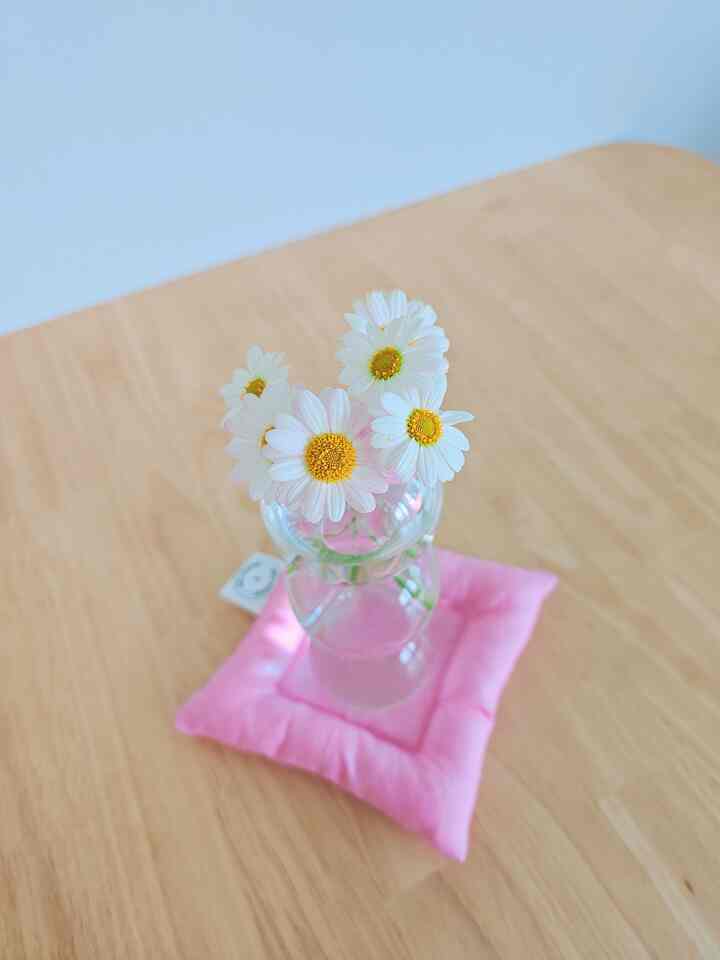 #お会いしましょう
#コミュニケーション #コミュニケーション
＃いいね＃いいね反射

#今日の私の家
#きれいな花
#きれいな小物
#お金
#コンスープ 

自宅の木馬の鉢植えの植木鉢で
花を収穫（？）して花瓶に散布してみました😆
かわいい魅力以上良いです:)

