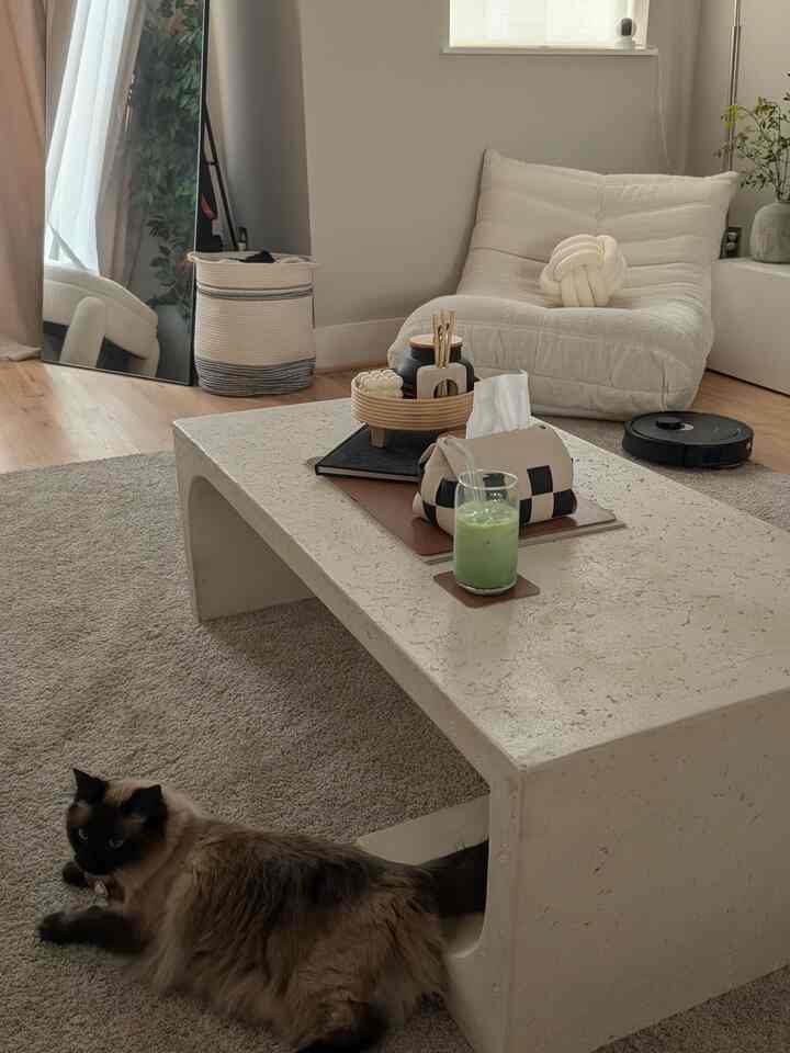 mornings like this feel so serene with my kitty Nori 🌄 #morning #neutral #natural #stone