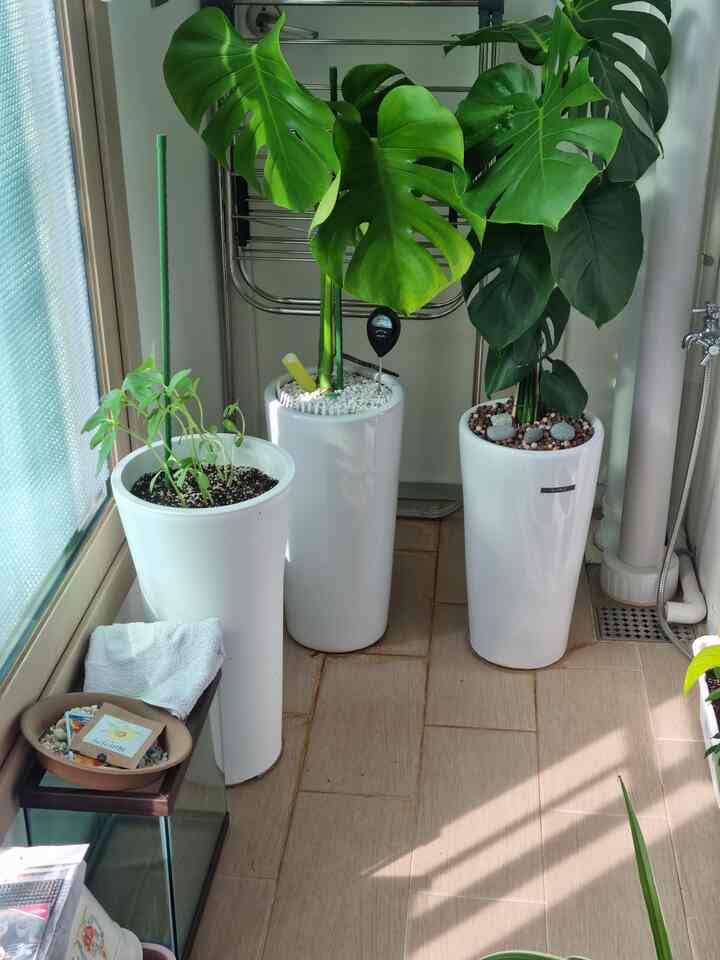 MELLOW HOTEL タオル 10点セット［10色］を使ったコーディネート 3