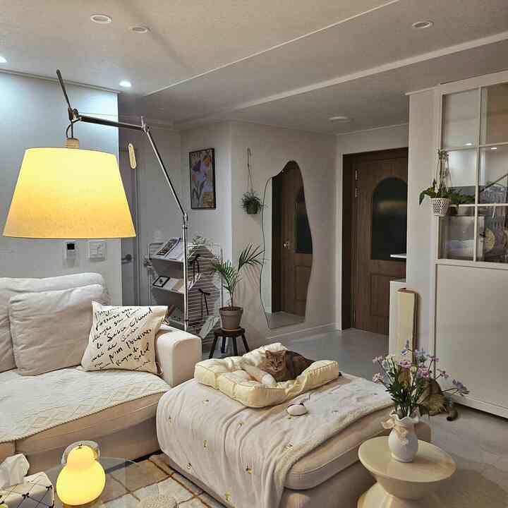 #살림살이 6 #콘수프기록 #블랭킷 #담요 #거실 #거실인테리어 #거실꾸미기 #중문 #중문인테리어 #중문스타일링 #중문꾸미기 

私たちのニャンニャンの愛情テンプレートブランケット、、🤍

4ちゃんが執事だからソファの上にいつもマットやブランケットを敷いておいてますよ！

子供たちがヘアボールや嘔吐をしばしば敷き詰めなければソファ管理もすっきりでき、すぐに洗濯ができてよかったですよ！

おかげで夏にもいつも敷いておきますㅎㅎㅎ  #소파테이블 #아르떼미데 #장스탠드 #조명 #베개커버 #아쿠아텍스 #소파 #스툴 #조화 #가벽 #듀크  #벽거울 #마켓비 #스툴 #뚜누

