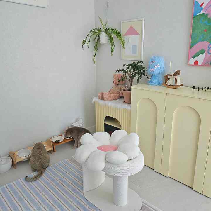 ＃猫の部屋＃ペット＃猫の家具＃今日の私たちの家＃

ご飯のボウルにご飯を満たしてくれれば食べて忙しい泣き娘、、🥺

制限給食を何度も挑戦してみましたが、急いで食べて吐くのに忙しい子どもたちを見て自律給食を維持していますㅎㅎ

私たちの子供たちはご飯の中にご飯が30分だけ空になっていても大変です。

夜明けにも私を目覚めさせてご飯にご飯を埋めるように言いますㅜㅜ 

自分たちの部屋の前に立って私をじっと見ていると飼料がないな、、、と確認に行きますㅎㅎ行ってみると10番中8番は飼料がありませんｗｗｗｗｗｗｗｗ

 残り2回くらいはキャットホイールに乗るのを褒めてくれとｗｗｗｗ呼ぶんですよ、、言葉だけできない表現はどれほど上手なのかわかりません🤣



#ラグ #ドゥイット #スクラッチャー #バターインテリア #バター収納場 #収納場 #暖炉コンソール #ニューデマンド #卓上照明 #照明 #木馬 #オブジェ #トゥヌ額縁 #額縁 #壁インテリア #猫移植 #ハングインプラント #ボストンシルク #猫の部屋 #バターフード #バター家具 # 










