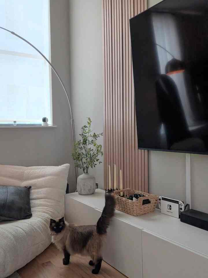 A serene Japandi style living room with white and wood tones, featuring a cat next to the sofa