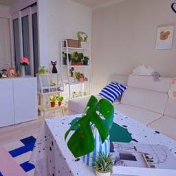 #컬러인테리어 
#아파트인테리어 #콘수프기록
숙제는 해야하죠
점심에 짬내서 하는 숙제
공간마다 컬러감이 참~~ 다른 우리집입니다
만 이틀 오집을 못했는데 그 동안 들러주신 고마운 분들이 많네요🤍🤍
오늘 저녁에는 답방을 갈 수 있을거같아요🩷
#20평대인테리어 #거실인테리어 #20평대거실 #침실인테리어 #타일시트지 #시트지 #수납장 #오브제수납장 #파티선수납장 #테이블보 #식탁보 #빈티지식탁보 #여름인테리어 #먼지없는러그 #아쿠아텍스소파 #3인용소파 #여름이불 #여름침구 #시어서커 #듀라론 #포스터인테리어 #장스탠드 #스탠드조명 #맞팔 #맞팔환영