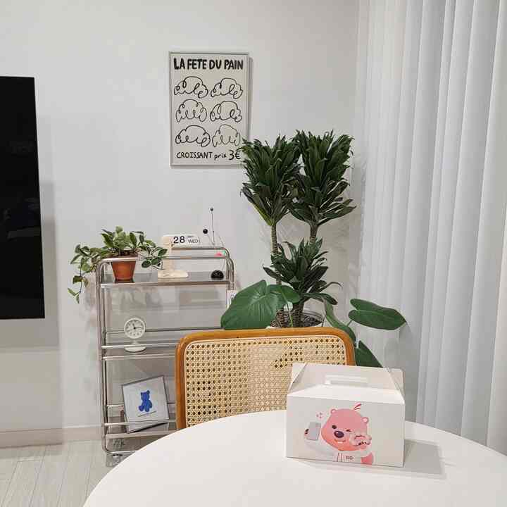 白と自然色調のリビングおうちカフェ、ラタンチェアと丸テーブル、植物が配置された雰囲気のあるインテリア