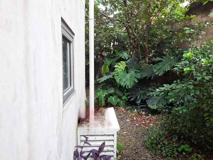 Backyard inspo 🌿
Halaman belakang dipenuhi berbagai jenis tanaman. Dari tanaman buah sampai tanaman hias. Selain dampak positif yang bisa kita petik, tentu harus diperhatikan juga aspek lainnya. Seperti proses pemeliharaannya, harus rajin dipangkas agar tidak menganggu dan jadi sarang hewan.
#BackYard #BackyardInspiration #HomeGarden #GreenHouse #Plants