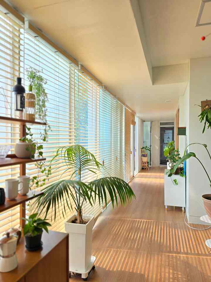 Bright wood-tone corridor entrance featuring wooden blinds and leafy plants with natural sunlight creating an airy atmosphere
