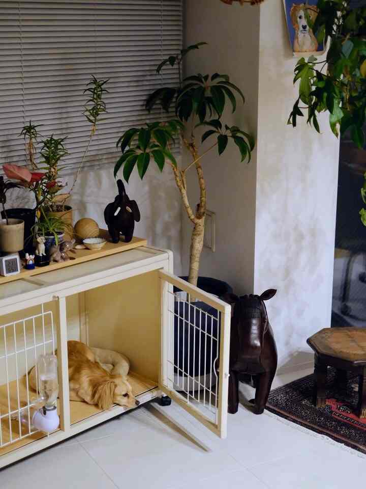 ウッドトーンとナチュラルグリーンの植物が配置されたリビングで、ペットケージの中で休む犬の様子