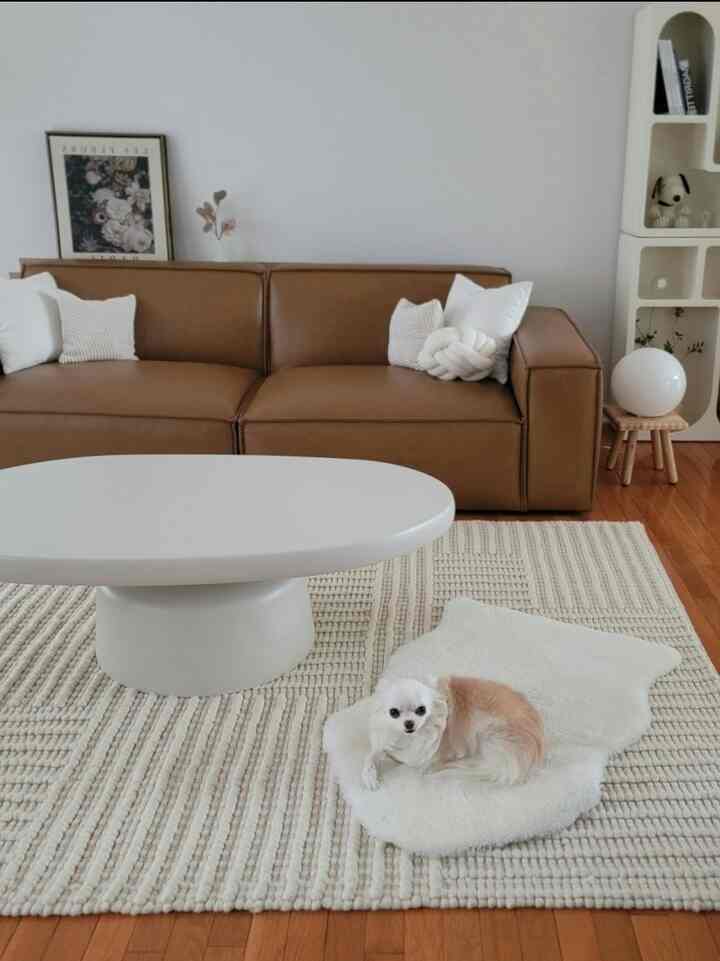 Just a quiet little corner that feels right, day or night. Natural light brings out the warmth in the space during the day, and in the evening, it turns into a soft, cozy spot to unwind. Simple touches, a comfy rug, and a sleepy pup make it feel like home. 🐾
#SimpleSpaces #CozyCorners #HomeInTheLittleThings #DayToNightVibes