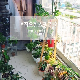 #집요한쇼핑기준 #식집사성장기 #식집사 #식물존
#콘수프기록 #집요한세일 #오늘의집 #플랜테리어
쇼핑 기준의 거대한 축!
식물....초록이들!!!
집 부동산 지분도 많이 차지하는 친구들🍀
그리고 뒤에는 자막을 밑에 넣었더니 
제품태그에 다 가려버리네요ㅠㅠ
그래 태그걸었으면 됐다...😂😂
#화분선반 #원목선반 #우드선반 #가리개커튼 #패브릭포스터 #대형패브릭포스터 #데크타일 #틈없는데크타일 #미니온실 #테이블보 #빈티지테이블보 #식탁보 #철제선반 #수납장 #파티션수납장 #오브제수납장 #먼지없는러그 #맞팔