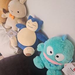 #오늘의우리집 #콘수프기록 #인형 #뽑기 
뽑은 인형 줄세우기!