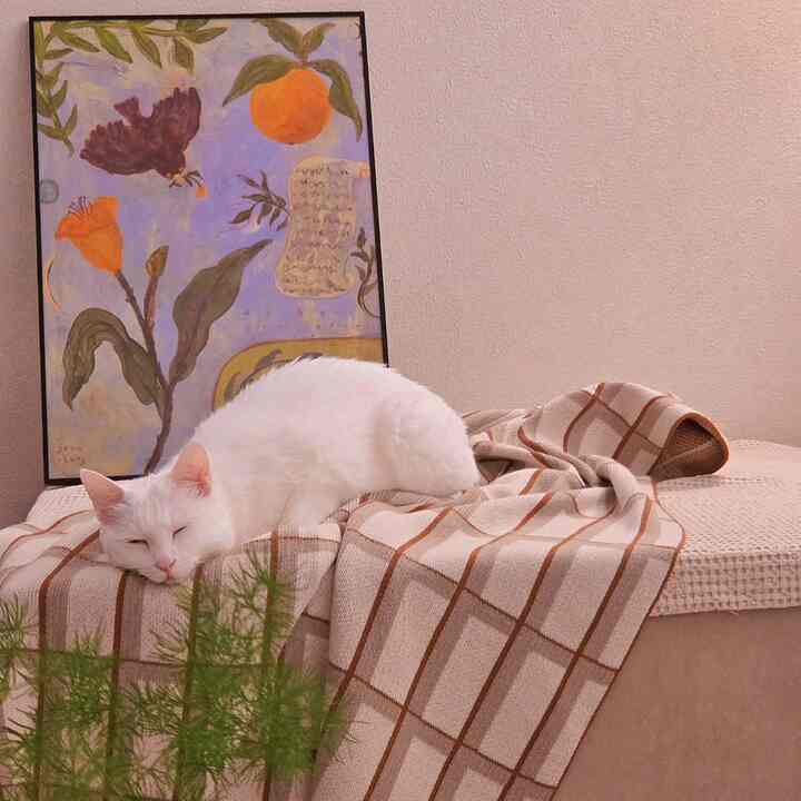 ベージュとブラウンの暖かい色調の空間に、チェック柄のブランケットの上でくつろぐ白い猫が配置された雰囲気のあるリビング