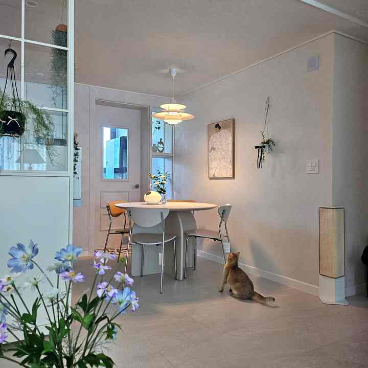 #주방인테리어 #주방꾸미기 #살림살이 3 #콘수프기록 #식탁 #주방식탁 #테이블 #의자 #테이프라인

The dining table has finally arrived 🤍,,

Finally, the romance of a round dining table!! 

The cats are busy exploring the new dining table 🤭

When I bought furniture for my new house, I was going to buy a round table, but everyone told me not to, so I chose a square one. I felt regretful, so I kept searching for round tables ㅎㅎ

It's been over a year since I started looking, but I finally found a product I like and brought it home 😍

Let's keep looking for a long time 🤍

#Kitchen styling #주방꾸미기 #식탁등 #소피아린드 #액자 #조명 #행잉플랜트 #루미르조명 #호박조명 #식탁의자 #조화 #가벽 #듀크 #공간분리 #고양이 #반려동물 #소품 #오브제 #디아망 #벽지 #신혼집 

