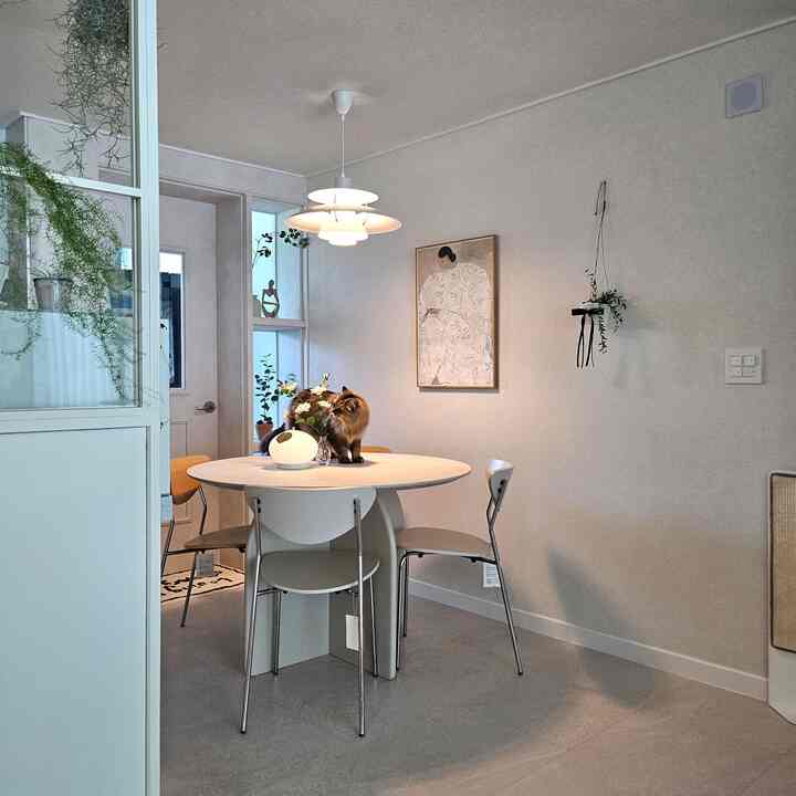 White-toned living dining space featuring a round dining table with chairs, a cat in the center, and classic pendant lighting in a simple and natural interior