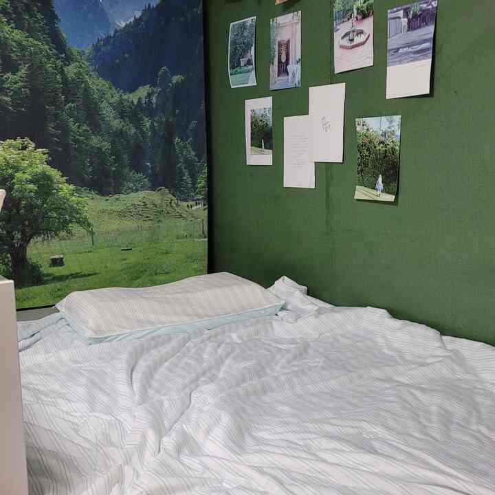 #오감리뷰  #여름이불추천 #냉감이불  #이불추천