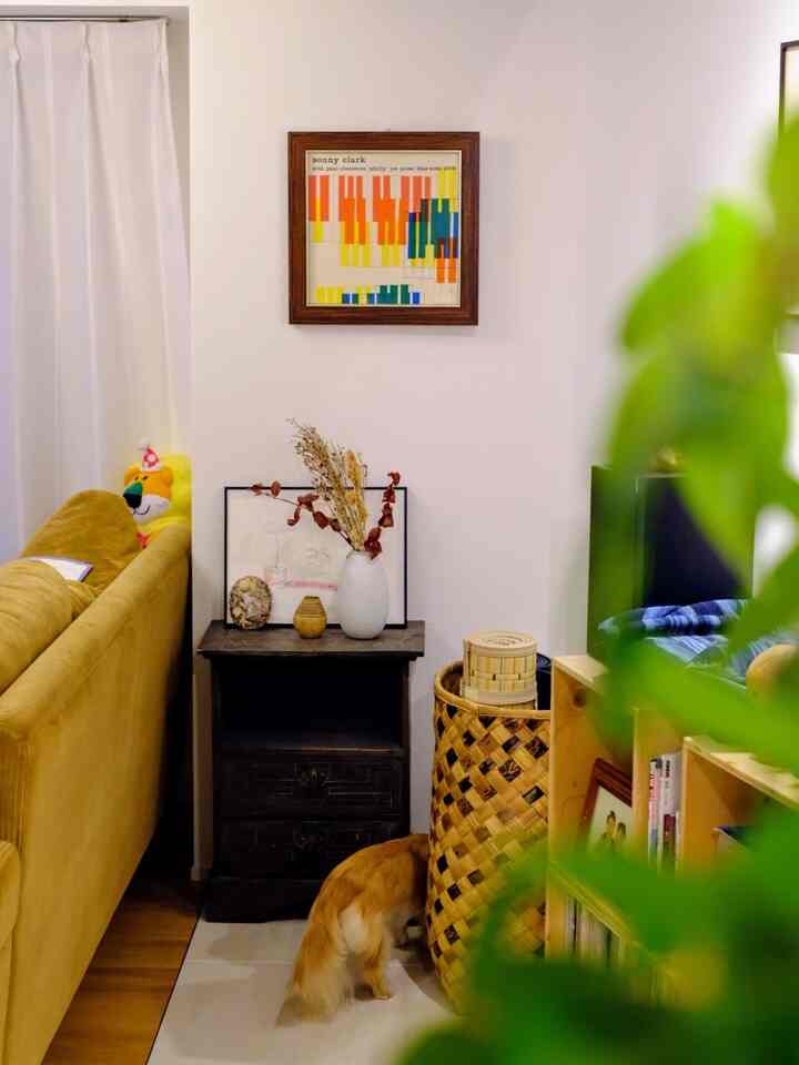 ソファ裏のスペース。何かいますね🐶
#小引き出し #バスケット #犬