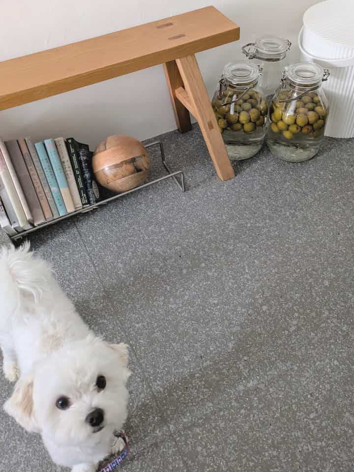 梅酒とワンコ🐶
#リビング #リビング小物 #犬がいる暮らし #犬との暮らし