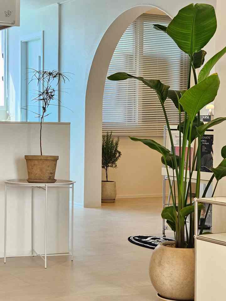 突然植執事になってしまいました！ 🌿

私の友人のヤンジェフラワーマーケットリールズビデオを見てください。
週末にすぐに行ってきました🤭🏃‍♂️

「見物だけ」に行きました。 
思ったよりずっときれいでさわやかな植物がいっぱい
ただ来ることはできませんでした🍃

真っ白な家が少し切れていて、
植物は何人かの子供たちだから確かに生気が回る感じです。
空気もより澄んだ気分…  #신혼집꾸미기 #신혼집인테리어 #인테리어맞팔 #homedesign #homeinteriordesign #homestyle #handdrip #handdriocoffee #handdripcoffee   #homeliving #homedecoration