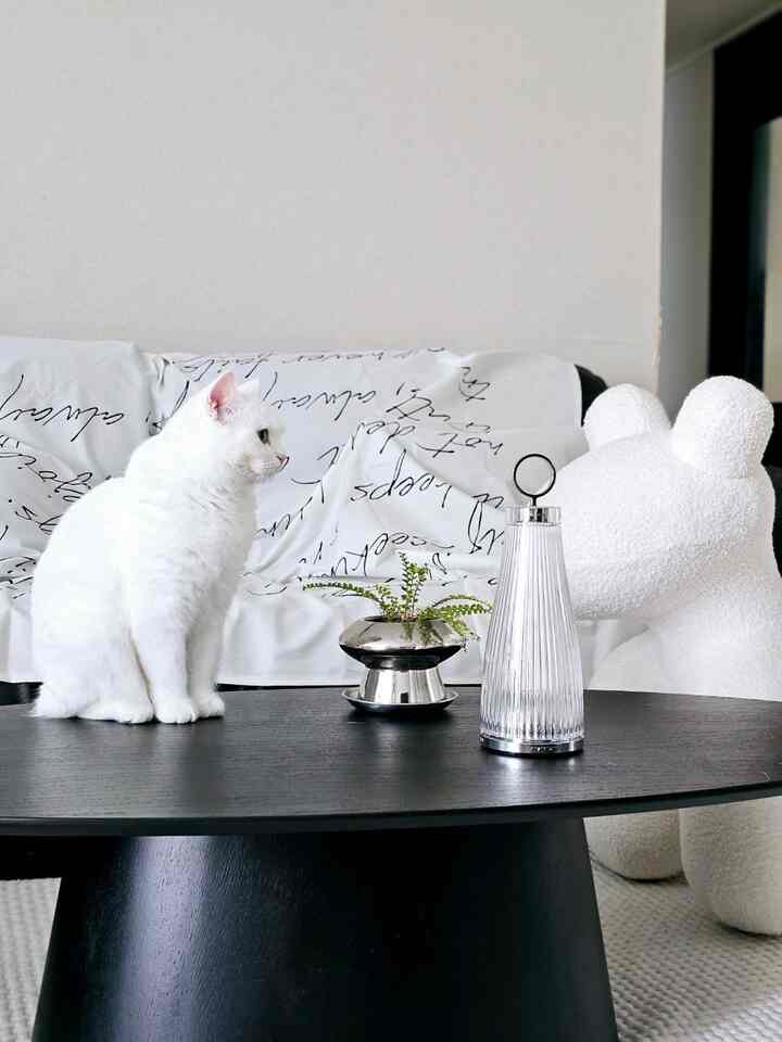 ＃今日の私たちの家6＃コンスープ記録🌷
。
私は最近何のフォトグラファー（？）になったと思います。
目を開けて巻くまで「今日はまた何を撮るのか」
はぁ…いつも同じ我が家なのに難しいですね！
5つ以上のタグ付けミッションも簡単ではありません。 
ソファに生地を置き、
どこかで - 現れた私たちの家モデルだけ！
ふふ、これ2回は似たような写真ですか？！😆
。
＃甘いダリン＃リビングインテリア＃リビング飾り