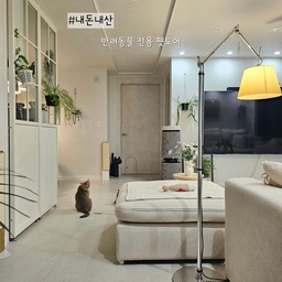 #내돈내산  7 #콘수프기록 #영림도어 #펫도어 
너무 만족하는 내돈내산 영림의 펫 전용 도어✨️
방문을 닫아두고 저 공간만 열어두면 냥이들이 편하게 이동이 가능하니 얼마나 좋은지 몰라요 !
겨울철 잠들 때 냥이들 땜에 문을 닫아둘 수가 없었는데 펫도어만 열어두니 찬바람도 많이 막아주고 좋더라고요 👍
반려동물 키우시면 펫도어 너무 추천드려요 😍
집사도 반려동물의 삶의 질도 올려주는 도어랍니다 ✨️
#아르떼미데 #장스탠드 #톨로메오메가 #가벽 #듀크 #공간분리 #발렌블랑 #필름지 #수직스크래쳐 #회벽화이트 #오브제 #소품 #공기청정기 #티비 #소파 #반려동물 #고양이 #거실꾸미기 #거실 #거실인테리어 #lg가전 #신혼집 #신혼집꾸미기 #신혼집인테리어 #소통 #맞팔 

