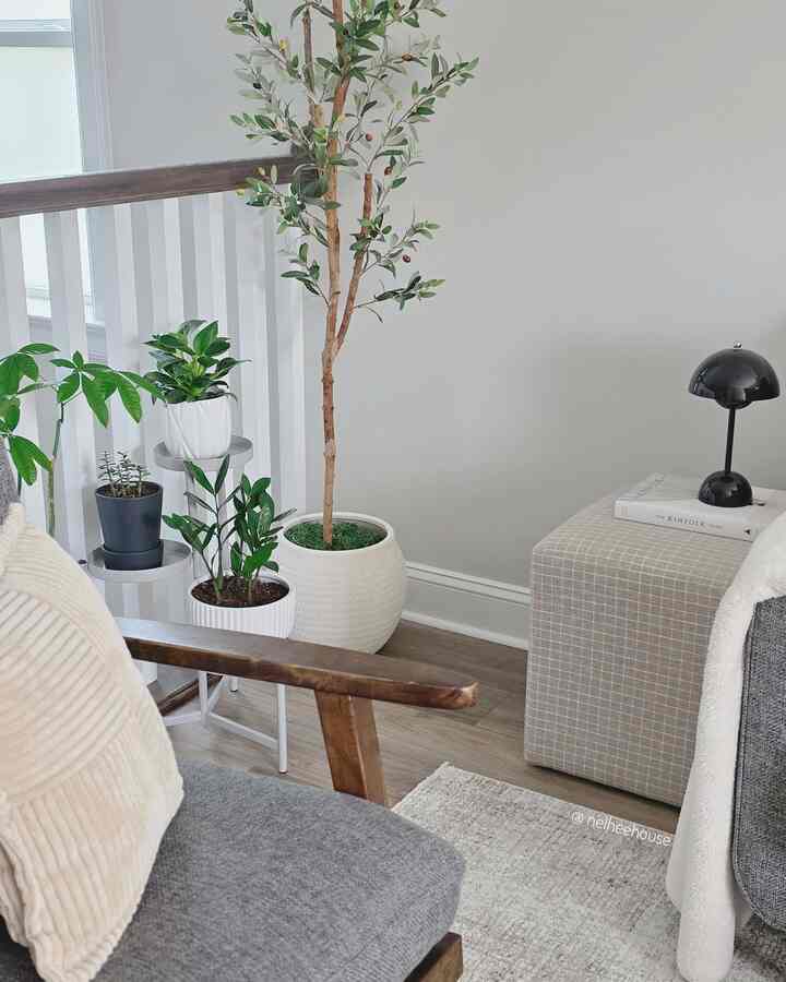 At the corner of my upstair living room 🪴💚

#plant #planterior #plantinterior #green #livingroomcorner #livingroominterior #greeninterior #plants #planter #cozyroom 
