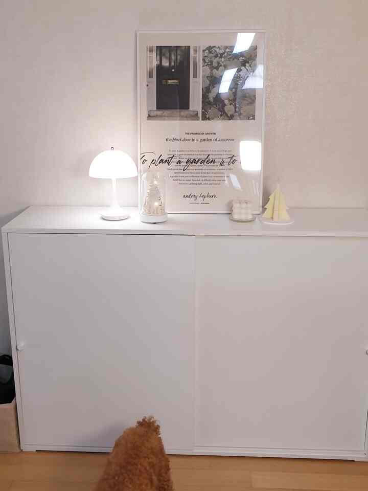 白を基調としたリビングの収納棚の上にミニマルなオブジェと照明が配置された印象的な空間で、床にはペットの犬がいます。