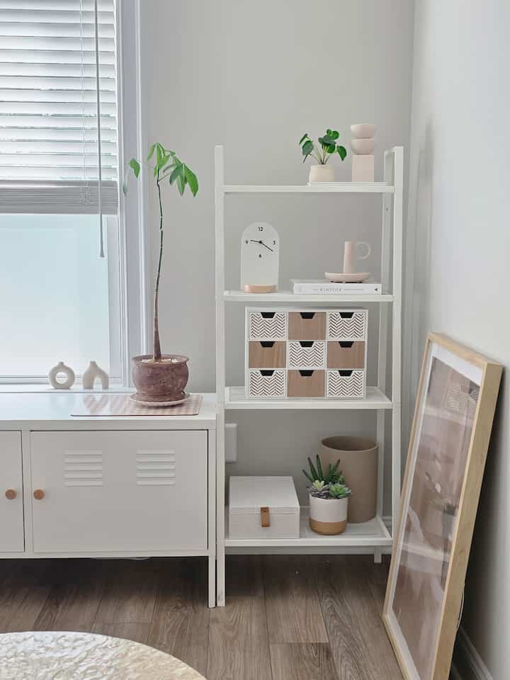 Pachira, or Money Tree, is one of low-maintenance plants that is great for beginner plant enthusiasts like me 🤭

 #plant #plants #planterior #plantinterior #homeoffice #planter #plantdecor #plantlover #greeninterior #cozy #earthy


