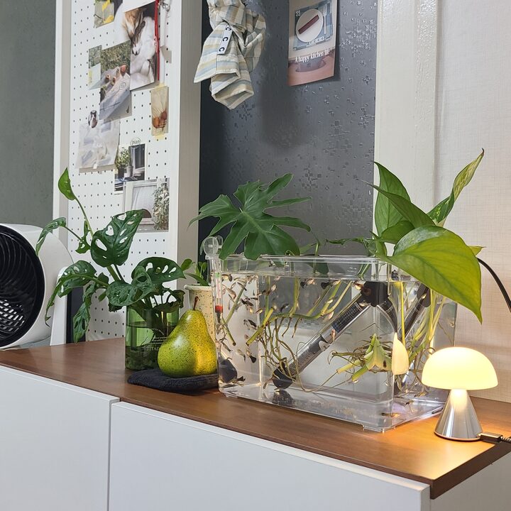 short form carousel card thumbnail