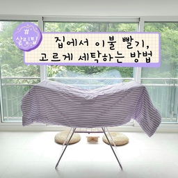 부피 큰 이불, 집에서 빨기 은근 불편하지 않나요?
세탁기에 잘 들어가지도 않구,
물에 둥둥 뜨기도 하구,
구석구석 빨아질까 걱정도 되구요#😢
저는 요 방법으로 집에서도 맘 편히 세탁합니다🥰
부채접기(지그재그!) 및 대형 세탁망만 있음 누구나 가능💜
포인트는 접는 방법이에요!
부채 접듯이 지그재그 형태로 이불을 접으면,
물과 세제가 구석구석 골고루 들어가서 세탁기에 넣구 빨아두 잘 빨아지더라구요~
그리구, 세탁망을 사용하면 물에 둥둥 뜨는게 덜하구,
여러개 한번에 세탁도 가능해서 시간도 절약가능👍
ps. 연보라색 빨래건조대 넘 예쁘지않나요 ㅎㅎㅎ
#이불빨래 #이불세탁 #세탁망 #살림노하우 #살림템 #살림팁 #이불세탁망 #빨래건조대 #빨래건조대추천 
#콘수프기록  #살림살이 7-1
