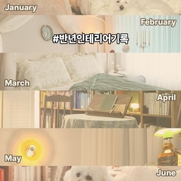 #반년인테리어기록 
 집들이를 시작으로 참 많이도 변했던 25년 상반기 우리집
#1월
남편에게 마굿간 같다고 구박받았지만 꿋꿋하게 프렌치무드를 실현해보려했던 나의 로망 침실 1단계
#2월
벽옷걸이를 이용해 장식용 캐노피를 만들었던 프렌치 로맨틱 침실 시도 2단계
#3월
오감리뷰를 통해 짙은 그린의 침구교체와 책장 위치 변경으로 한 층 더 업그레이드 된 완성형 프렌치 로맨틱 침실 3단계!!
#4월
거실도 책장과 빈티지 테이블보, 꽃을 함께 두며 꿋꿋하게 프렌치 인테리어 로망 실현!
#5월
월화수목금금금+야근으로 지쳐가던 중 오늘의집 테스트 이벤트를 통해 소소한 포인트 당첨으로 거실 한켠 나만의 lp존 실현!!
#6월
로망이었던 프렌치 무드는 이제 좀 내려놓고 우리집에 가장 잘 어울리는 네추럴 인테리어로 침실 변화!!
이렇게 보니..상반기 동안 대체 가구를 몇 번을 옮긴건지 모르겠네요^^;; 상반기에는 주로 침실의 변화가 많았는데 하반기에는 주로 문짝들의 톤을 정리해볼까해요!!
우리집은 여전히 (오집과 함께) 진화중입니다👀🩵
#침실인테리어 
#거실인테리어 